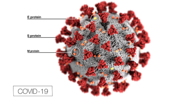 BBVA-OpenMind-Materia-Qué sabe la ciencia sobre el coronavirus y qué ha logrado-Coronovirus 3