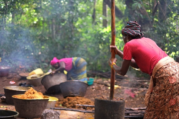 Boicotear el aceite de palma tiene también impactos socioeconómicos para los países en desarrollo donde se produce. Crédito: Uzabiaga-Boicotear el aceite de palma tiene también impactos socioeconómicos para los países en desarrollo donde se produce. Crédito: Uzabiaga