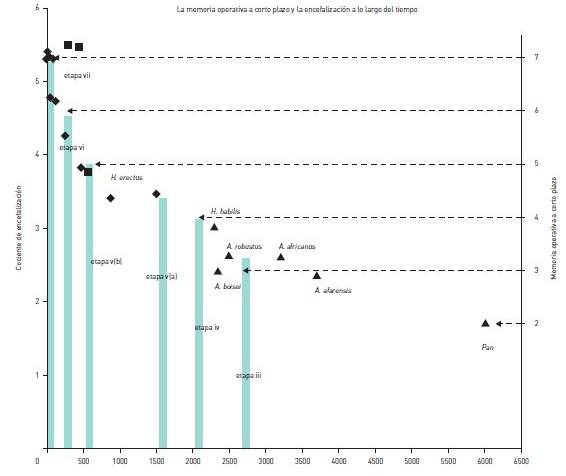 BBVA-OpenMind-innovación-3-Grafico 2-sander-van-der-leeuw-Gráfico 2. Gráfico que muestra cálculos del cociente de encefalización (CE) basados en fósiles de homínidos y en el género Pan