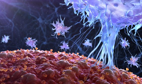 BBVA-OpenMind-Cuatro innovaciones para combatir el cancer con bacterias y virus-Cancer bacterias 1 - Los virus oncolíticos pueden atacar las células cancerosas y destruirlas . Imagen: Imugene