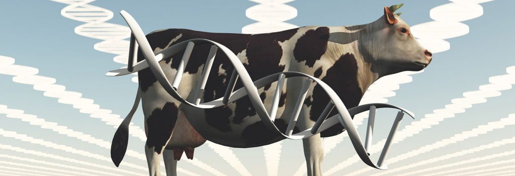 Genetically Modified Animals, the Engine of Biomedicine | OpenMind