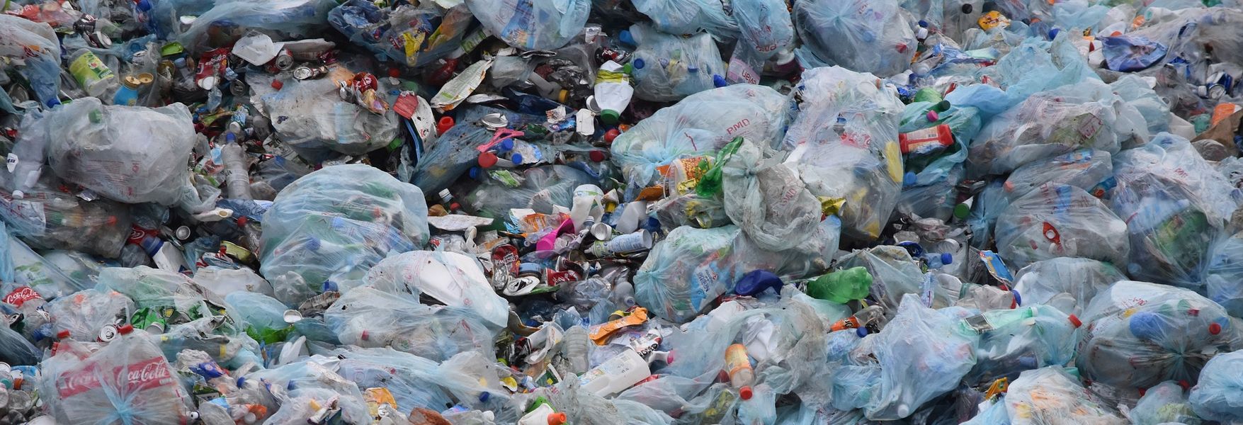 verano Influyente episodio Un planeta sin plástico 🌎 5 alternativas sostenibles | OpenMind
