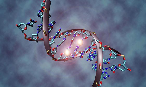bbva-openmind-ventana-lamarck-Cambio químico (metilación) en la molécula de ADN, clave para la epigenética. Autor: Christoph Bock (Max Planck Institute for Informatics)