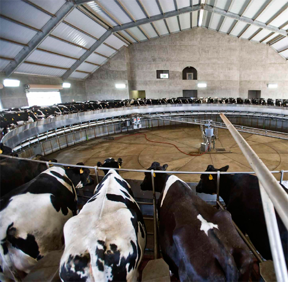 BBVA, OpenMind. Tackling Climate Change Through Human Engineering. Liao. Rotating milking parlor at a dairy farm in California, USA.
