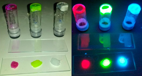 BBVA-OpenMind-Light Bulbs with DNA and Fluorescent Properties