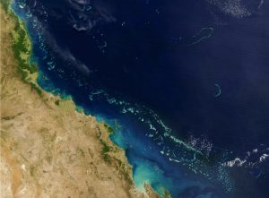 BBVA-OpenMind-Chaparro-Yanes-Gran Barrera Coral Historia_1 La Gran Barrera de Coral (azul claro) en esta imagen de satélite de la NASA del 6 de agosto de 2004. Crédito: NAS /AFP via Getty Images