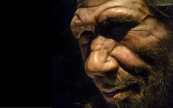 BBVA-OpenMind-Guillen-Yanes- ADN historia especie humana_2 Durante la época de coexistencia se produjeron múltiples cruces entre humanos modernos, neandertales y denisovanos. Crédito: Wikimedia Commons