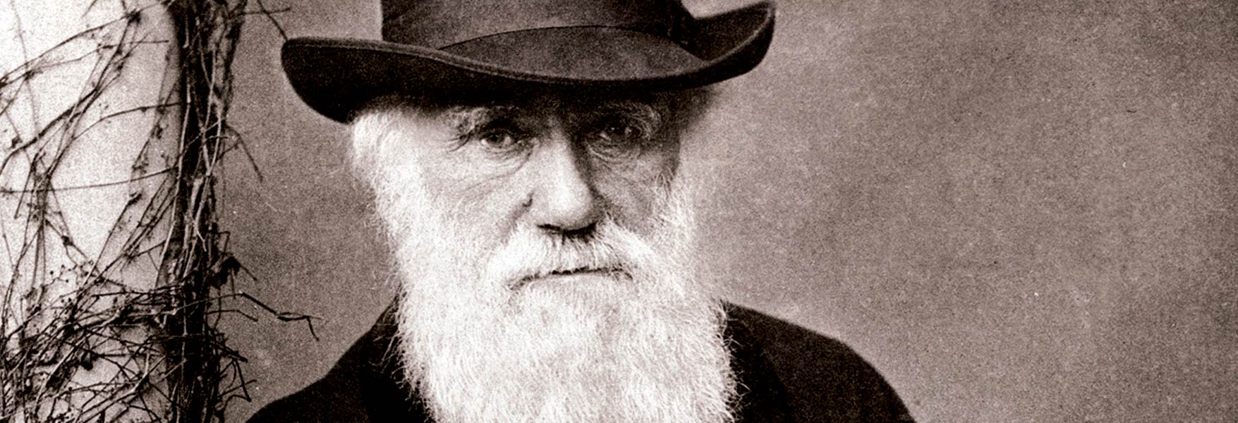 Darwin: La evoluci贸n de una teor铆a 馃悞 | OpenMind