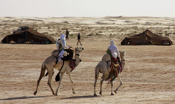 Los camélidos son un medio de transporte clave para los pueblos nómadas. Crédito: McKay Savage.