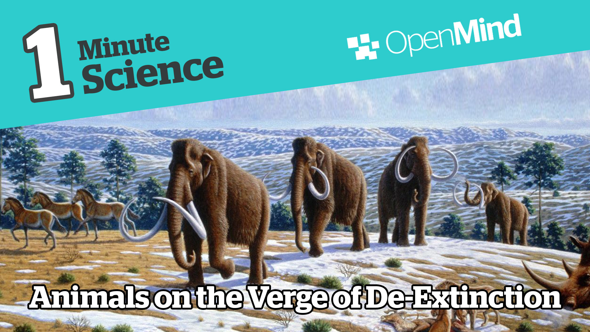 Animals on the Verge of De-Extinction | OpenMind´s Videos