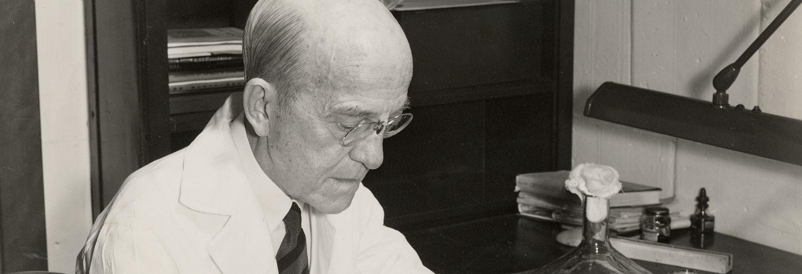 Oswald Avery, DNA Transformation Pioneer, American Bacteriologist