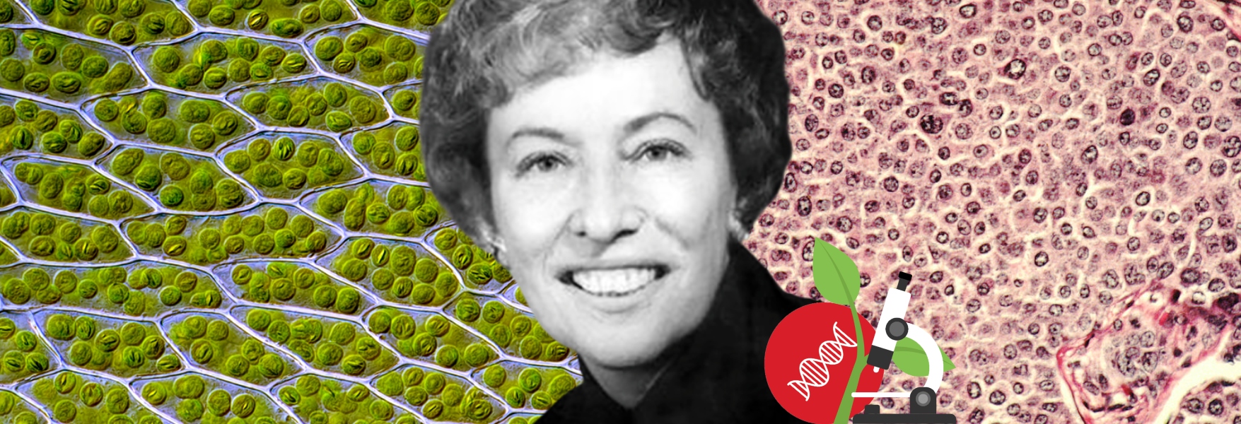 Ruth Sager, Two-time Genetics Pioneer | OpenMind