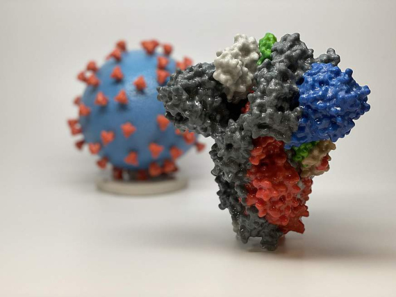 BBVA-OpenMind-Materia-ciencia derrotar al coronavirus_ retos y herramientas-uturo coronavirus 4-Estructura de la proteína Spike (S) que el virus utiliza para infectar. Crédito: NIAID