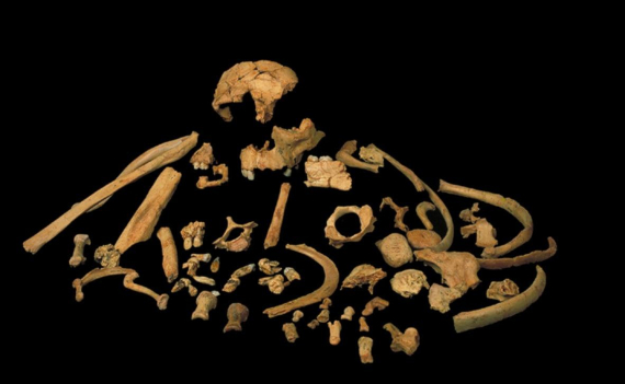 BBVA-OpenMind-Materia-La genética nos acerca al misterio del hombre de Atapuerca 3-Homo antecessor. Crédito: Bermúdez de Castro