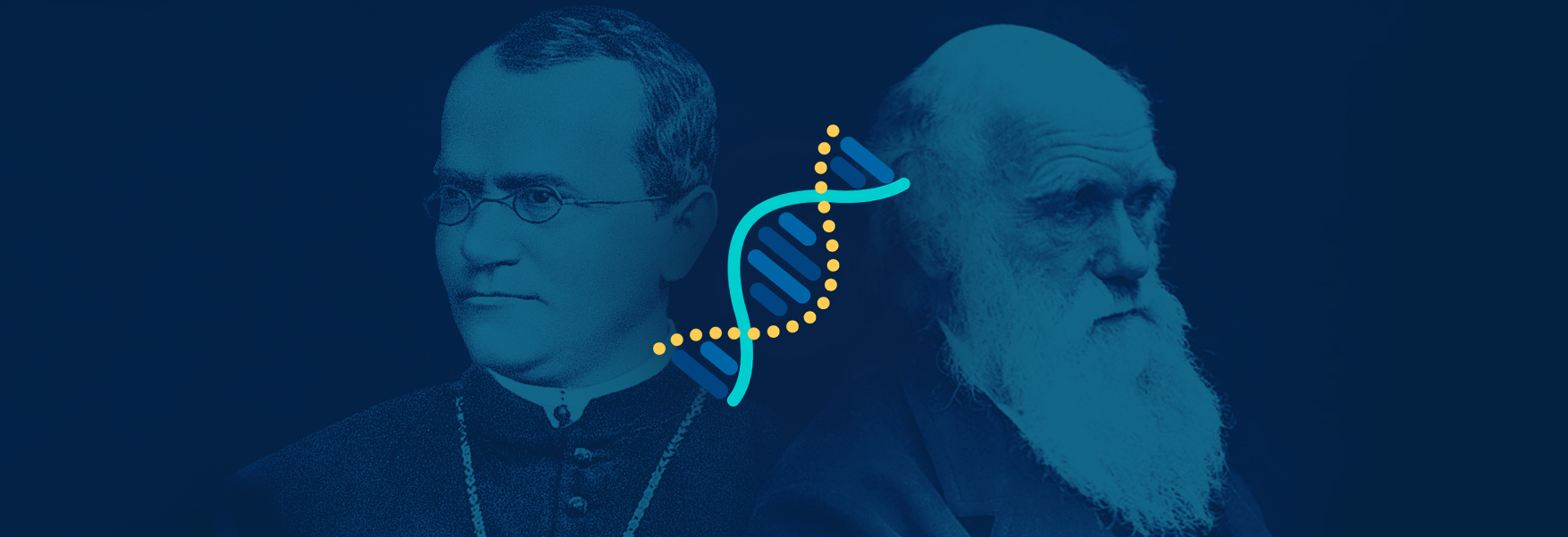 Mendel versus Darwin: A clash of titans