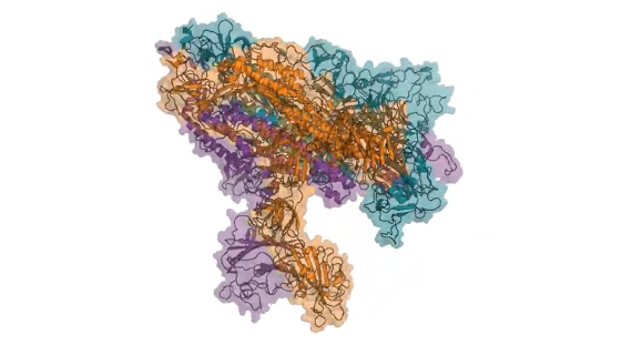 BBVA-OpenMind-Yanes-El virus que ha cambiado la ciencia 4-Estructura molecular de la proteína spike en el virus responsable de la COVID-19, simulada a través de Folding @ home. Crédito: CERN