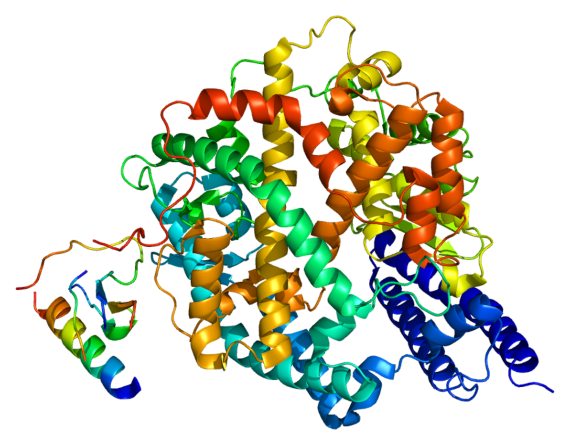 BBVA-OpenMind-MAnuel Rejon-Protein_ACE2_PDB_1r42