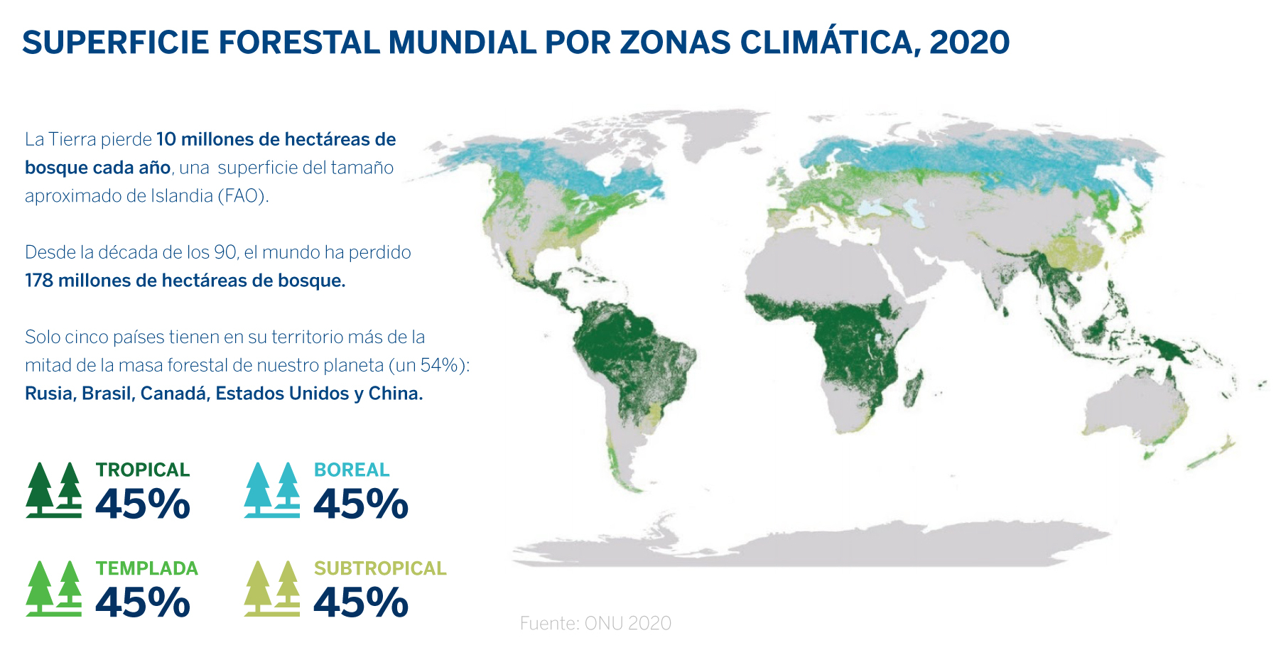 BBVA-OpenMind-Superficio forestal mundial por zonas climaticas- 2020