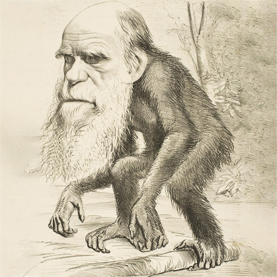 BBVA-OpenMind-Materia-El Darwin más incomprendido-Venimos del mono- 2- Una caricatura de Charles Darwin como un simio publicada en The Hornet, una revista satírica. Fuente: Wikimedia