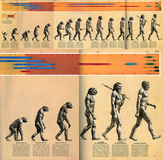 BBVA-OpenMind-Materia-El Darwin más incomprendido-Venimos del mono- 4-La ilustración March of Progress or The Road to Homo sapiens. Fuente: Wikimedia