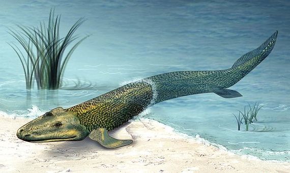 BBVA-OpenMind- 5 mayores extinciones de la historia-Extinciones masivas 3 La extinción del Devónico solo afectó a las especies acuáticas, que comenzaron a desarrollar la habilidad de salir a la superficie. Imagen: Wikimedia