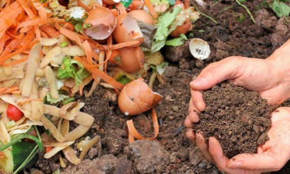 BBVA-OpenMind-vegetales ecologicos y locales-vegetales sostenibles 3-educir los residuos puede ser la medida más importante de nuestros hábitos alimentarios para luchar contra el cambio climático. Crédito: Wikimedia Commons