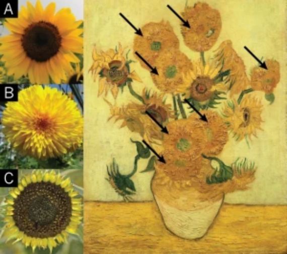 BBVA-OpenMind-Manuel Rejon-Van Gogh a la luz de la genetica-Article_BFnature201210364