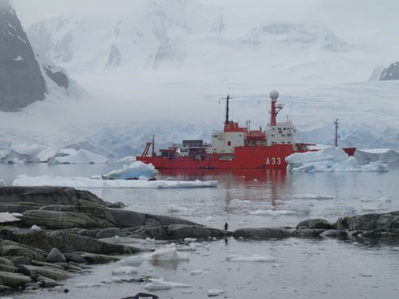 BBVA-OpenMind-Ana Justel-microorganismos en el medioambiente los ecosistemas microbianos en la Antártida están expuestos a la llegada de especies invasoras debido al cambio climático