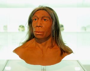 BBVA-OpenMind-Yanes-asi-han-cambiado-nuestras-ideas-sobre-neandertales_1
