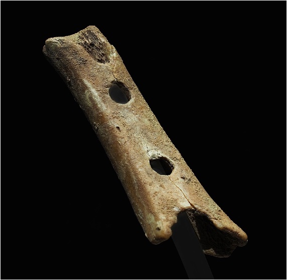 Algunos investigadores proponen que la flauta de Divje Babe, un pedazo de fémur de oso hallado en 1995 en Eslovenia, es un verdadero instrumento musical, el más antiguo conocido. Crédito: Petar Milošević - Own work, CC BY-SA 4.0