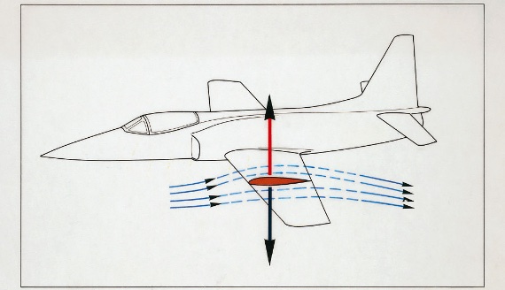 BBVA-OpenMind-Larsen-Como las alas desafian a la gravedad_3 El aumento de la velocidad del aire por encima del ala se debe a que el aire se apresura a llenar el campo de baja presión creado por la forma curva del ala. Crédito