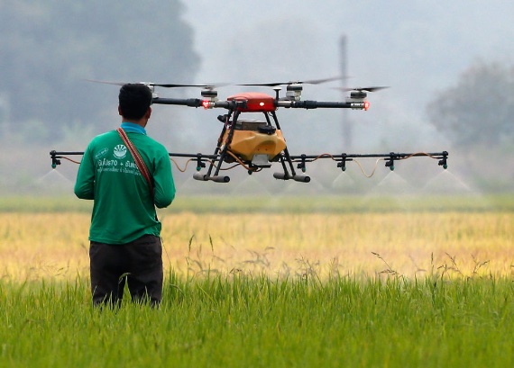 BBVA-OpenMind-Zurdo-Robots daran de comer al mundo_4 Los drones con algoritmos de IA, permiten desde la recolección de fruta a la polinización de los cultivos. Crédito: Chaiwat Subprasom/SOPA Images/LightRocket via Getty Images