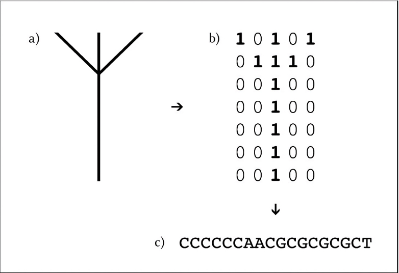 En 1988 el artista Joe Davis y la Universidad de Harvard pusieron en práctica el uso del ADN como código en el proyecto Microvenus. Crédito: researchgate.net