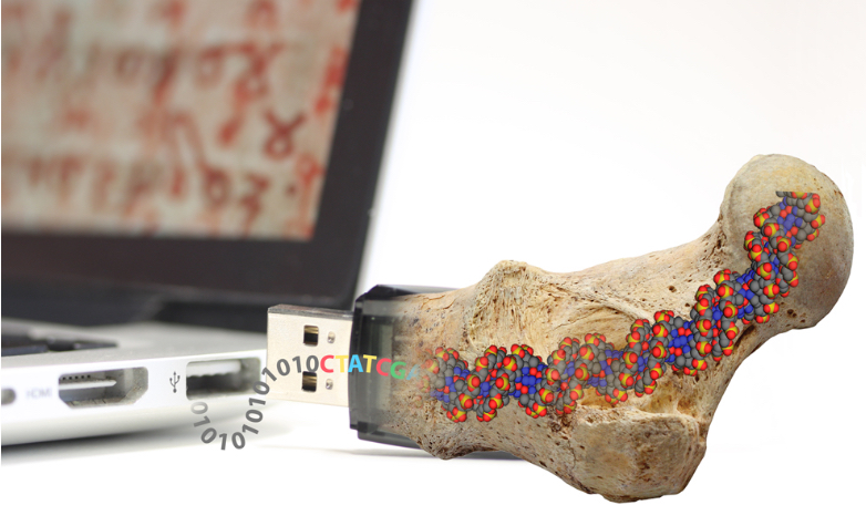 El grupo de Robert Grass en el ETH ha creado fósiles artificiales que contienen el ADN encapsulado y que pueden durar hasta 2 millones de años. Crédito: Philipp Stössel/ETH Zurich