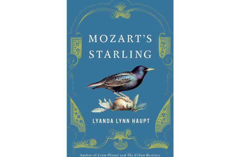 BBVA-OpenMind-Yanes-libros ciencia verano 2023_EN_3 Mozart's Starling, Lyanda Lynn Haupt (Little, Brown and Company)