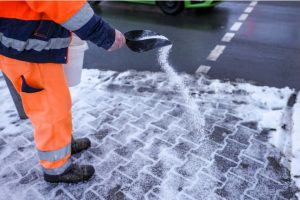 BBVA-OpenMind-Yanes-Demasiada sal amenaza vida terrestre_4 We consume salt indiscriminately, for example to melt snow and ice in cities and on roads. Credit: Jan Woitas/picture alliance via Getty Images.