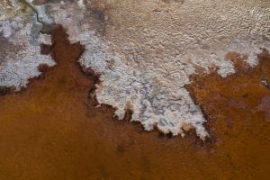 BBVA-OpenMind-Yanes-Demasiada sal amenaza vida terrestre_5 La salinización del suelo por la acción humana está provocando daños a la potabilidad del agua, las infraestructuras pero también a los ecosistemas y la agricultura. Crédito: David McNew/Getty Images.