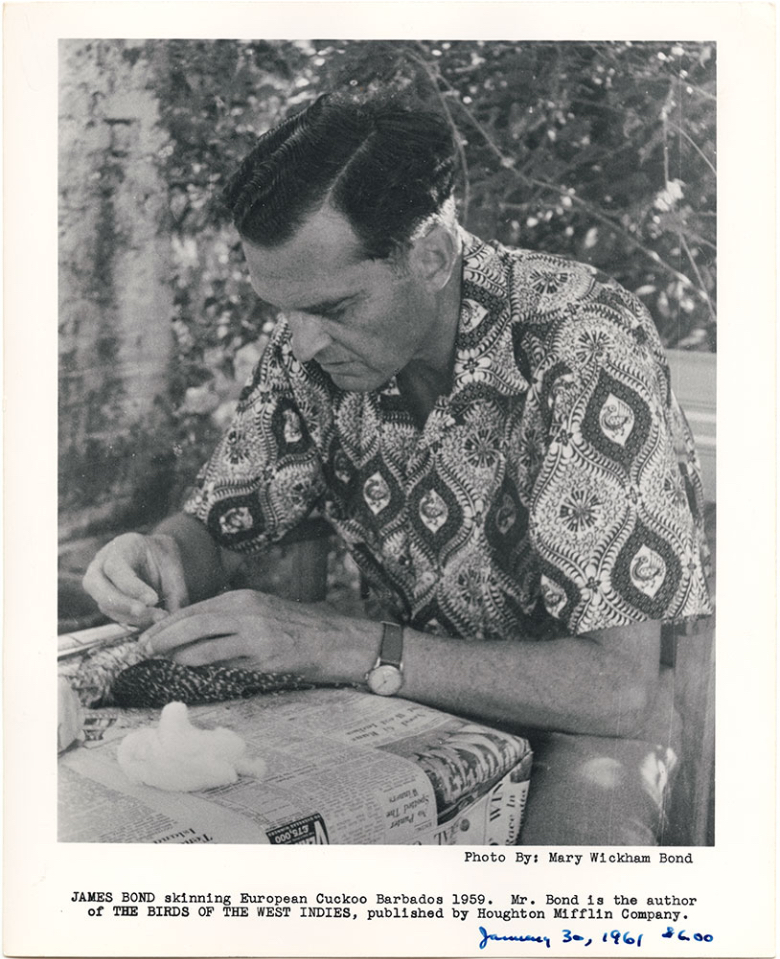 BBVA-OpenMind-Yanes-The speciality to which he devoted his life was the avifauna of the Caribbean islands: he visited more than 100 islands, collected 294 of their 300 species and published more than a hundred books and scientific studies. Credit: Mary Wickham Bond/Free Library of Philadelphia.